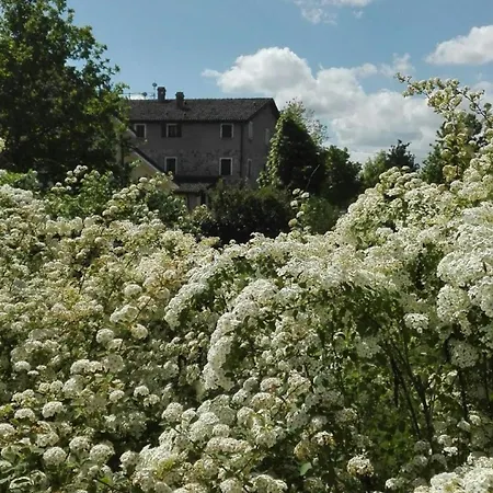 Διαμέρισμα In Einem Bauernhaus, Mit Garten, Haustiere Erlaubt *